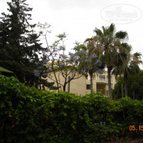 фото из отзыва ID 1450529