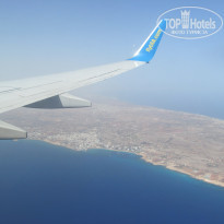 фото из отзыва ID 1450584