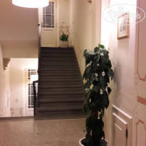 фото из отзыва ID 1450714