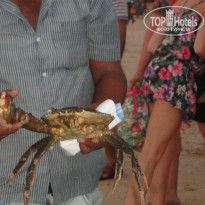 фото из отзыва ID 1450769