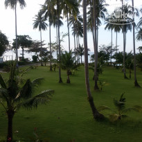 фото из отзыва ID 1450839