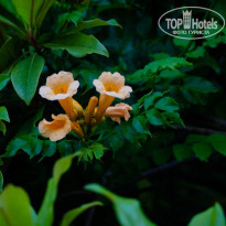 фото из отзыва ID 1450876