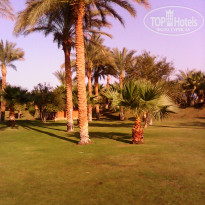 фото из отзыва ID 1451096