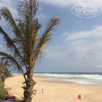 фото из отзыва ID 1451266