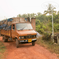 фото из отзыва ID 1450516