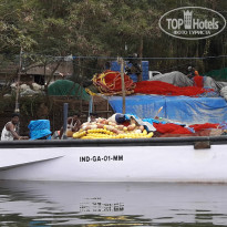 фото из отзыва ID 1450516