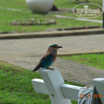 фото из отзыва ID 1451410