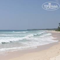 фото из отзыва ID 1451419