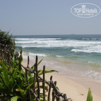 фото из отзыва ID 1451419