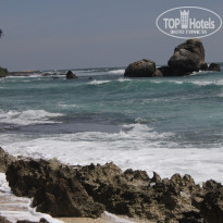 фото из отзыва ID 1451419