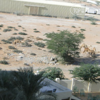 фото из отзыва ID 1451461