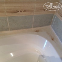 фото из отзыва ID 1451636