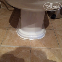 фото из отзыва ID 1451636