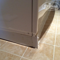 фото из отзыва ID 1451636