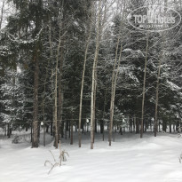 фото из отзыва ID 1451653