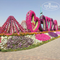 фото из отзыва ID 1451703