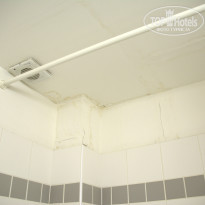 фото из отзыва ID 1451787