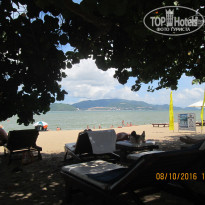 фото из отзыва ID 1451801