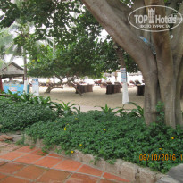 фото из отзыва ID 1451801