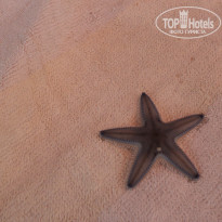 фото из отзыва ID 1451819