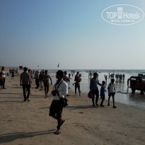 фото из отзыва ID 1451904