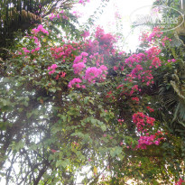 фото из отзыва ID 1451923