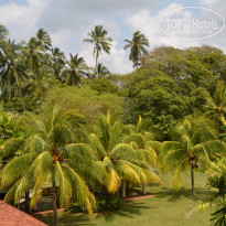 фото из отзыва ID 1451924