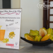 фото из отзыва ID 1451924