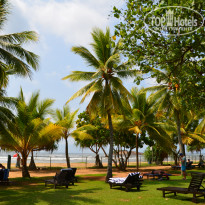 фото из отзыва ID 1451924