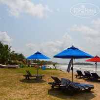 фото из отзыва ID 1451924