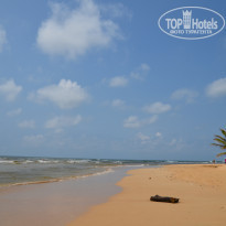 фото из отзыва ID 1451924