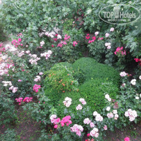 фото из отзыва ID 1451936