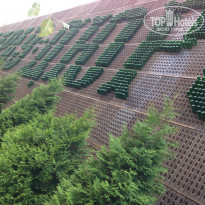 фото из отзыва ID 1452068