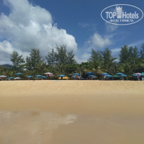 фото из отзыва ID 1452166