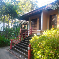 фото из отзыва ID 1452173