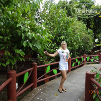 фото из отзыва ID 1452313