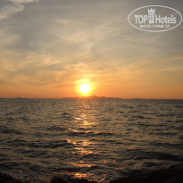 фото из отзыва ID 1452324