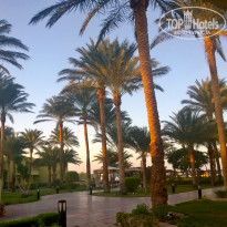 фото из отзыва ID 1452403