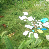 фото из отзыва ID 1452416