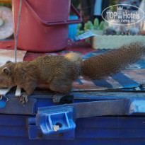 фото из отзыва ID 1452473