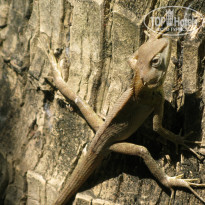 фото из отзыва ID 1452532