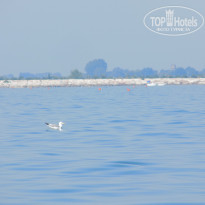 фото из отзыва ID 1452535