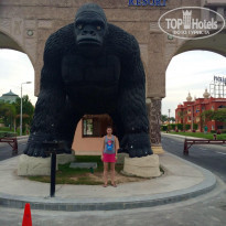 фото из отзыва ID 1452601