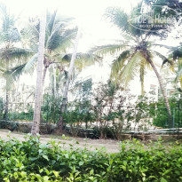 фото из отзыва ID 1452611