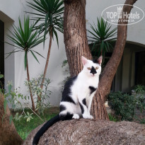 фото из отзыва ID 1452653