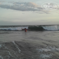 фото из отзыва ID 1452904