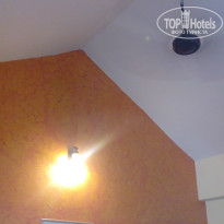 фото из отзыва ID 1452971