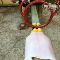 фото из отзыва ID 1453143