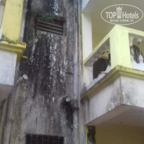 фото из отзыва ID 1453160