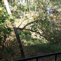 фото из отзыва ID 1453226